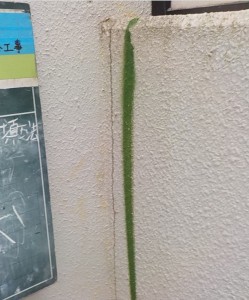 DSCN3018