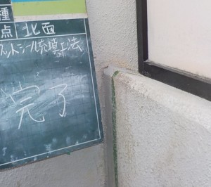 DSCN3126