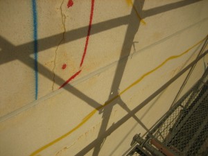 IMG_2110