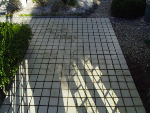 image003
