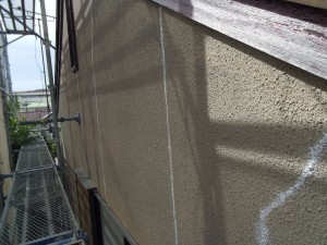 IMGP0393