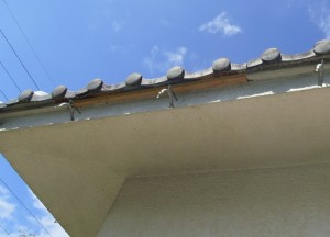 IMGP0797