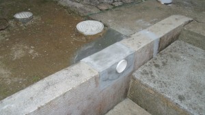 IMGP0852